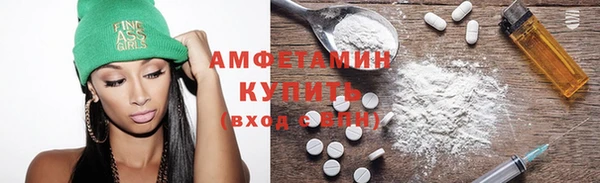 прущие грибы Аркадак