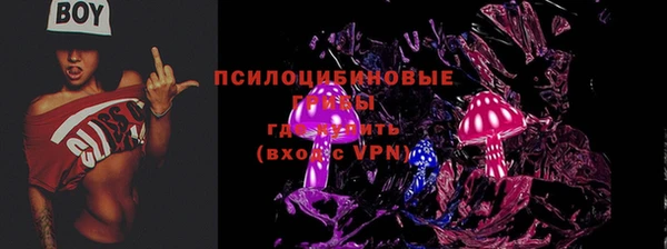 прущие грибы Аркадак