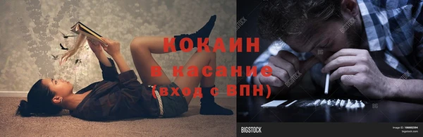 прущие грибы Аркадак