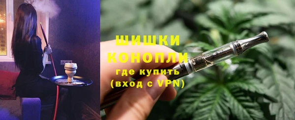 прущие грибы Аркадак