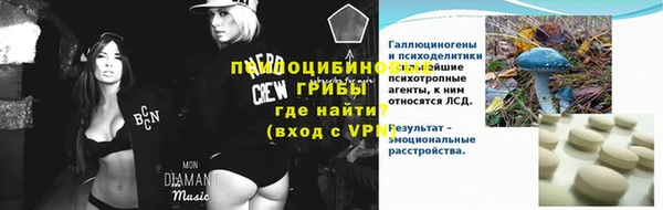 прущие грибы Аркадак