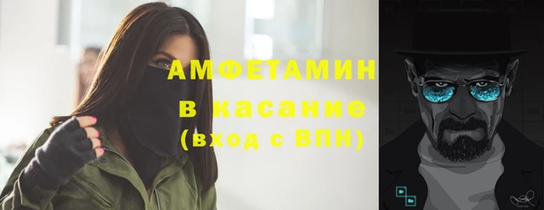 прущие грибы Аркадак