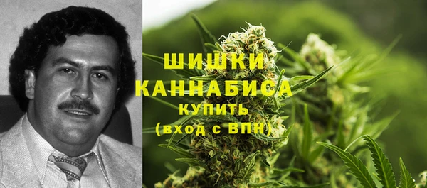 первитин Арсеньев